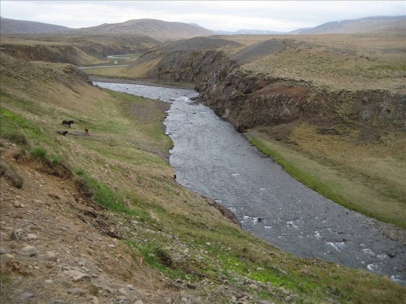 Tjarnará á Vatnsnesi - Veiðistaðavefurinn